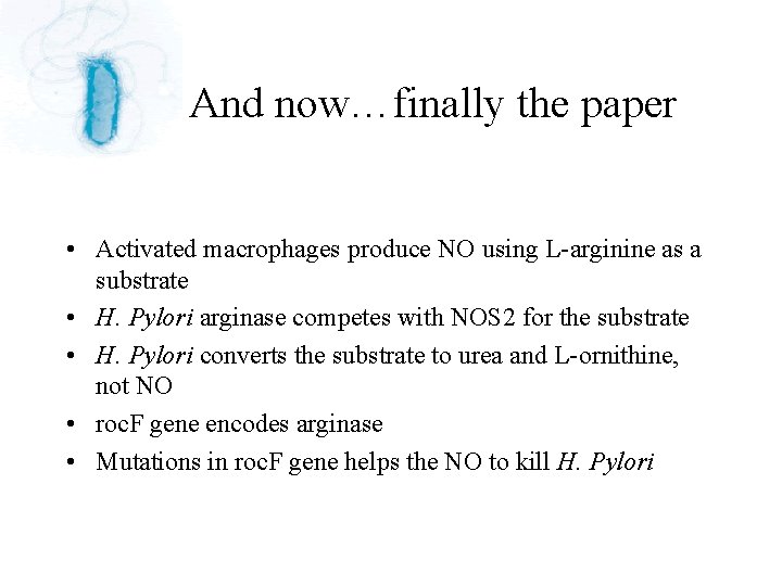 And now…finally the paper • Activated macrophages produce NO using L-arginine as a substrate