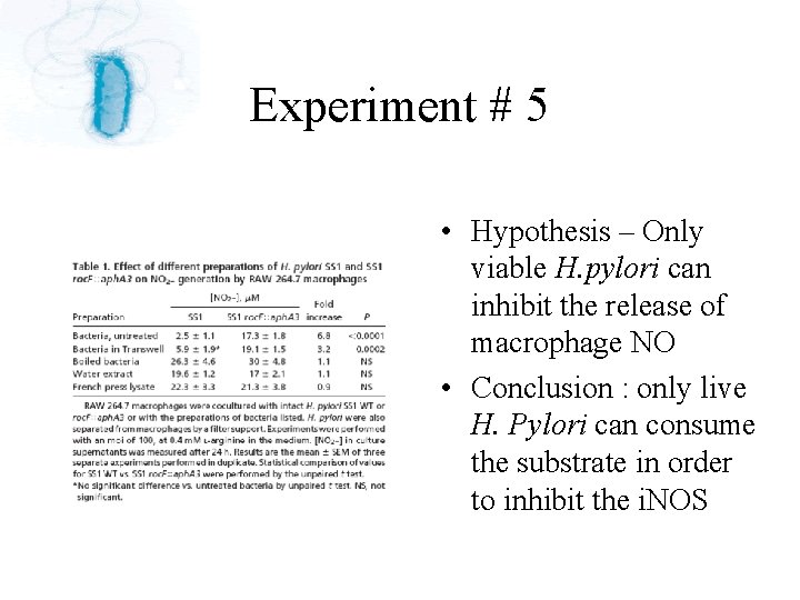 Experiment # 5 • Hypothesis – Only viable H. pylori can inhibit the release