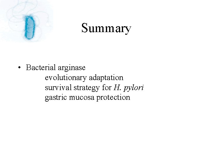 Summary • Bacterial arginase evolutionary adaptation survival strategy for H. pylori gastric mucosa protection