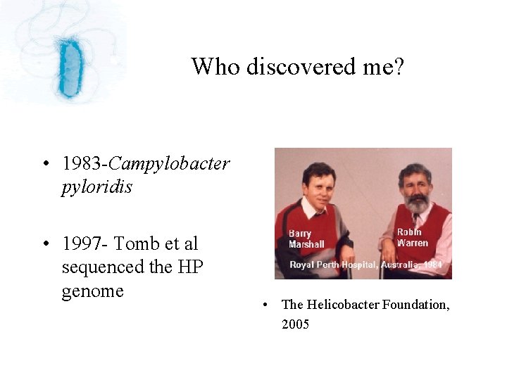 Who discovered me? • 1983 -Campylobacter pyloridis • 1997 - Tomb et al sequenced