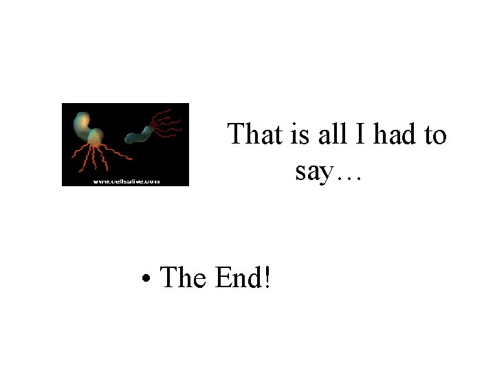 That is all I had to say… • The End! 