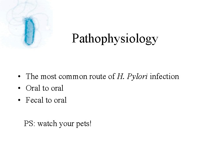 Pathophysiology • The most common route of H. Pylori infection • Oral to oral