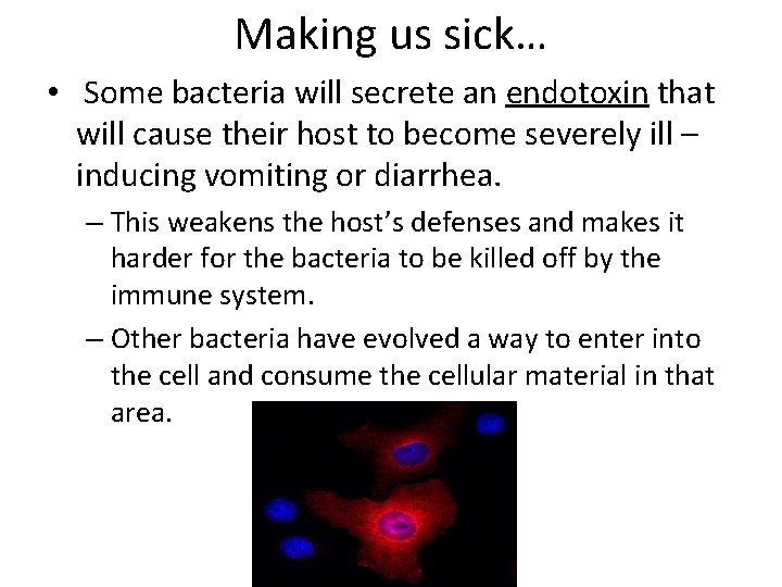 Making us sick… • Some bacteria will secrete an endotoxin that will cause their