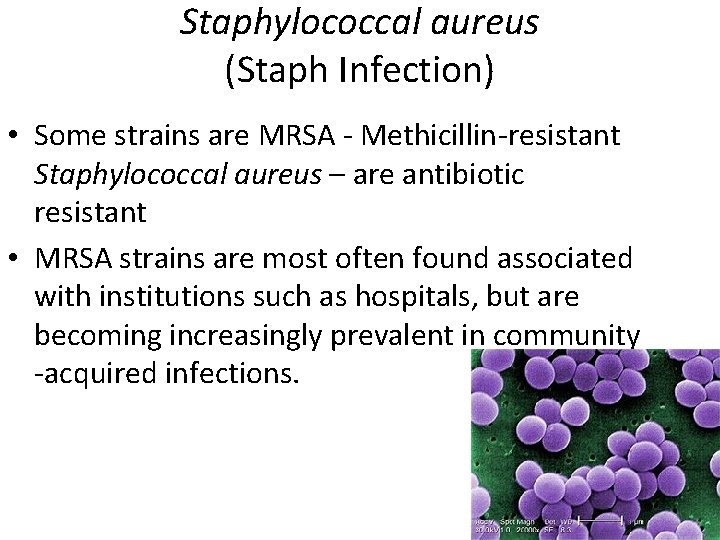 Staphylococcal aureus (Staph Infection) • Some strains are MRSA - Methicillin-resistant Staphylococcal aureus –