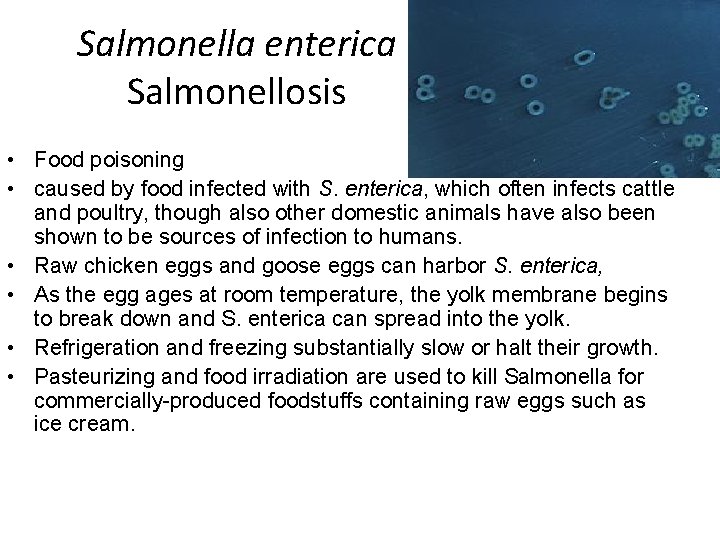 Salmonella enterica Salmonellosis • Food poisoning • caused by food infected with S. enterica,