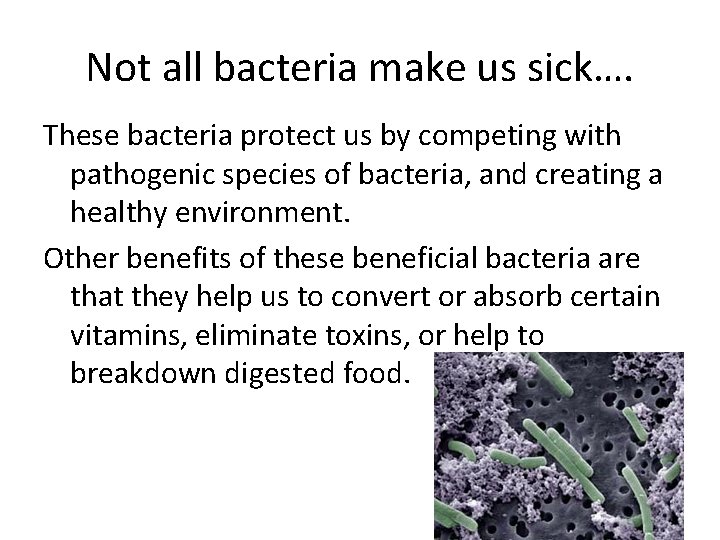 Not all bacteria make us sick…. These bacteria protect us by competing with pathogenic