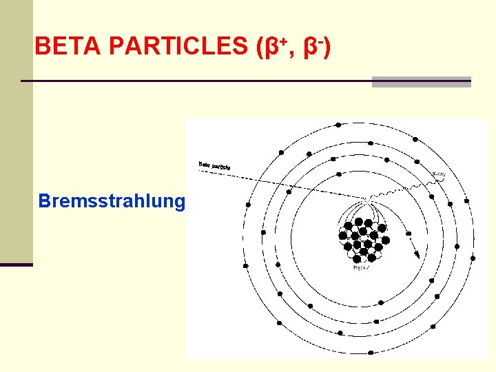 BETA PARTICLES (β+, β-) Bremsstrahlung 