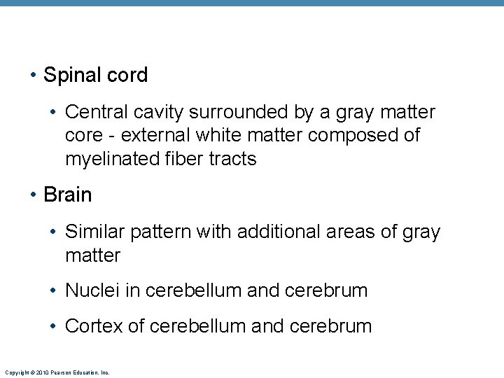  • Spinal cord • Central cavity surrounded by a gray matter core -