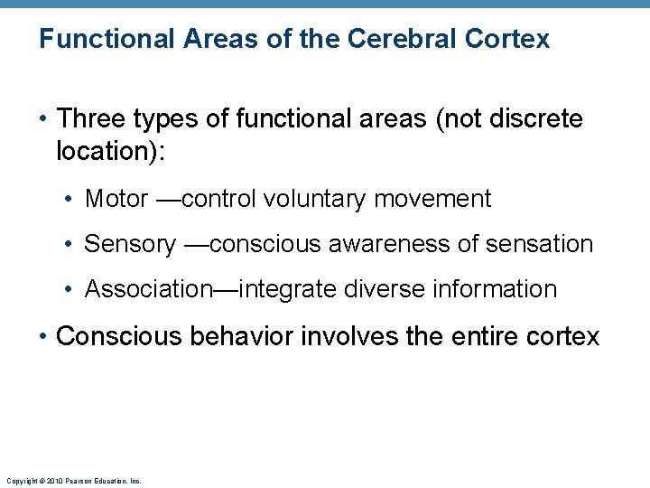 Functional Areas of the Cerebral Cortex • Three types of functional areas (not discrete