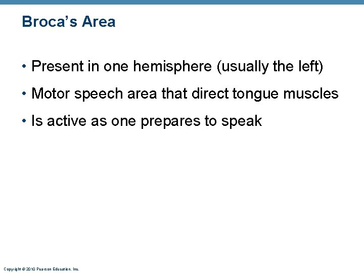 Broca’s Area • Present in one hemisphere (usually the left) • Motor speech area