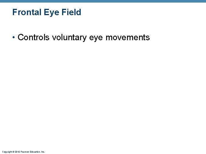 Frontal Eye Field • Controls voluntary eye movements Copyright © 2010 Pearson Education, Inc.