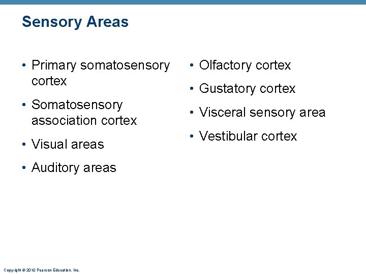 Sensory Areas • Primary somatosensory cortex • Somatosensory association cortex • Visual areas •
