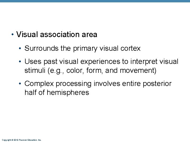  • Visual association area • Surrounds the primary visual cortex • Uses past