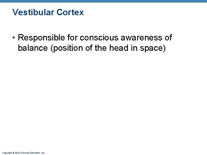 Vestibular Cortex • Responsible for conscious awareness of balance (position of the head in