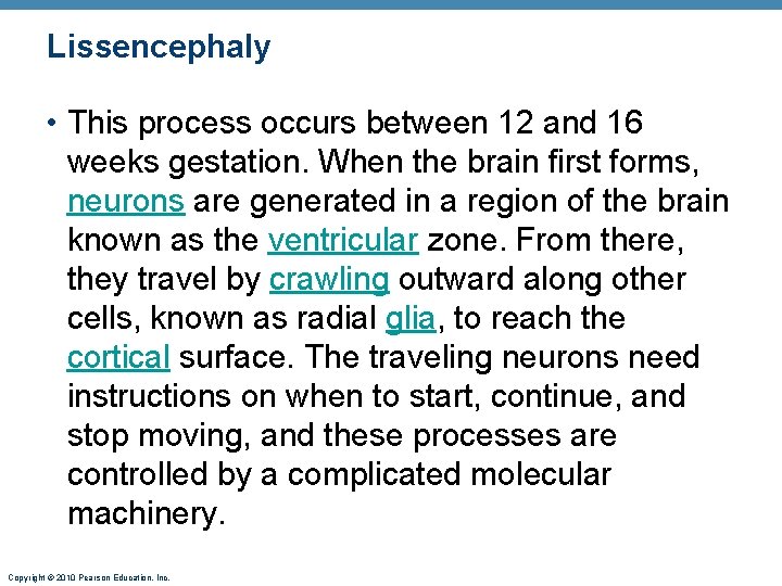 Lissencephaly • This process occurs between 12 and 16 weeks gestation. When the brain