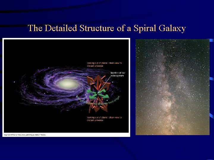 The Detailed Structure of a Spiral Galaxy 