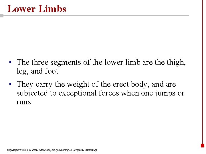 Lower Limbs • The three segments of the lower limb are thigh, leg, and