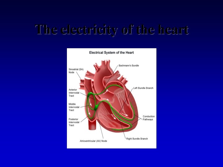 The electricity of the heart 