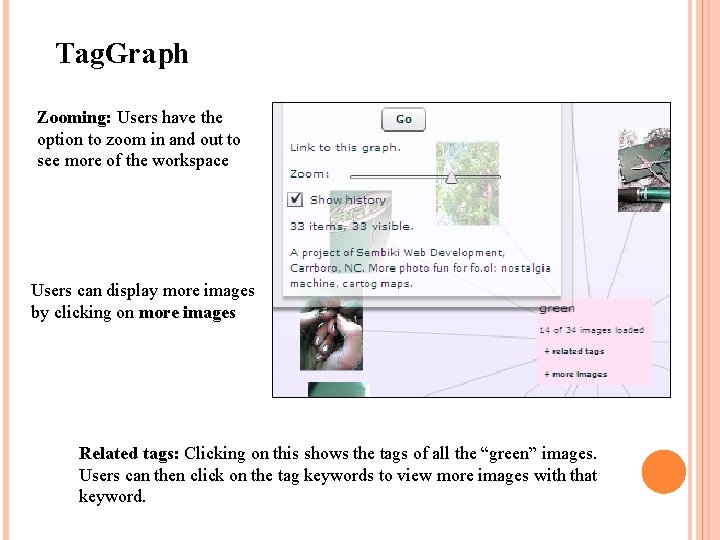 Tag. Graph Zooming: Users have the option to zoom in and out to see