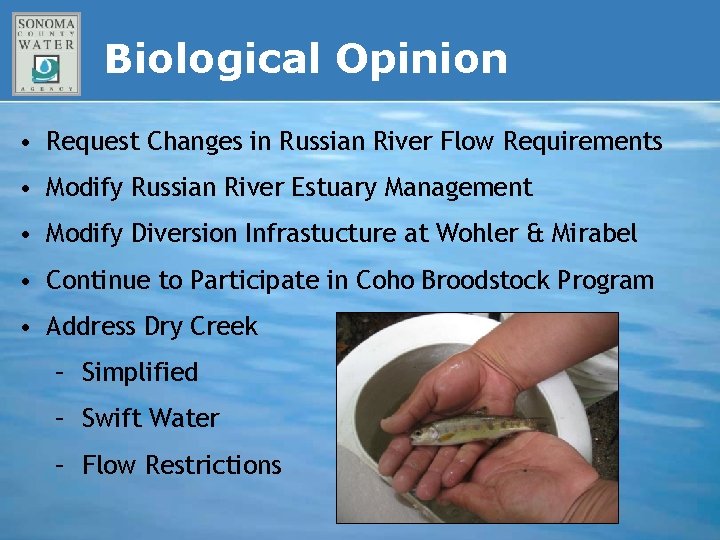 Biological Opinion • Request Changes in Russian River Flow Requirements • Modify Russian River