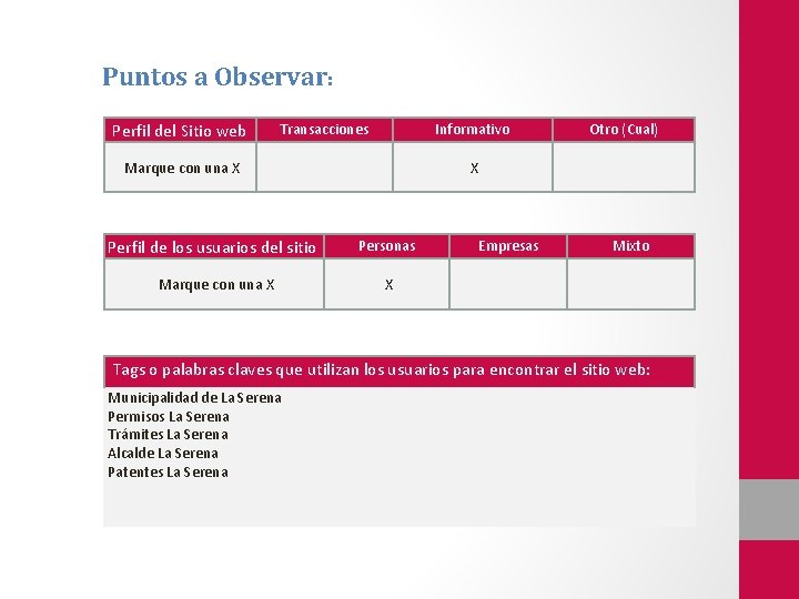 Puntos a Observar: Perfil del Sitio web Transacciones Informativo Marque con una X Otro