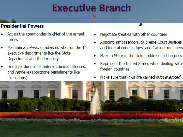 Executive Branch 
