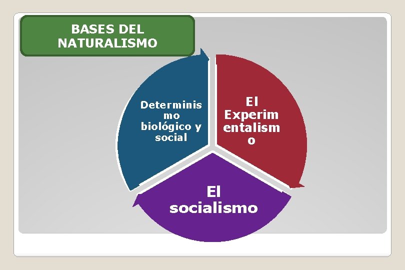 BASES DEL NATURALISMO Determinis mo biológico y social El Experim entalism o El socialismo