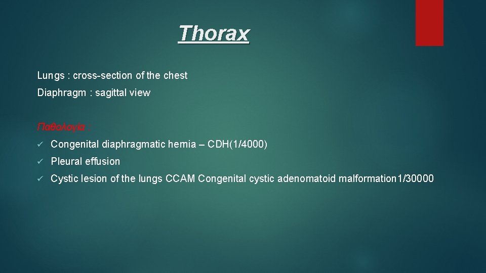 Thorax Lungs : cross-section of the chest Diaphragm : sagittal view Παθολογία : ü