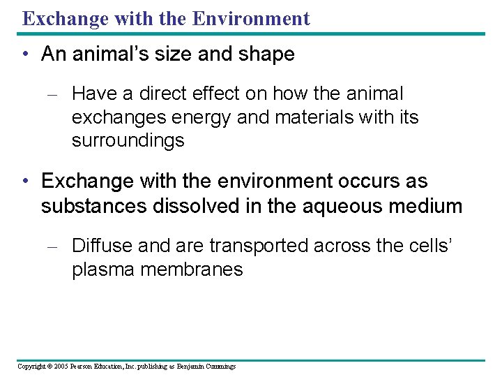 Exchange with the Environment • An animal’s size and shape – Have a direct