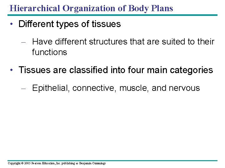 Hierarchical Organization of Body Plans • Different types of tissues – Have different structures