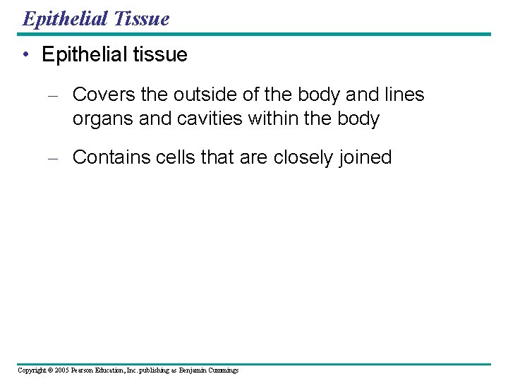 Epithelial Tissue • Epithelial tissue – Covers the outside of the body and lines