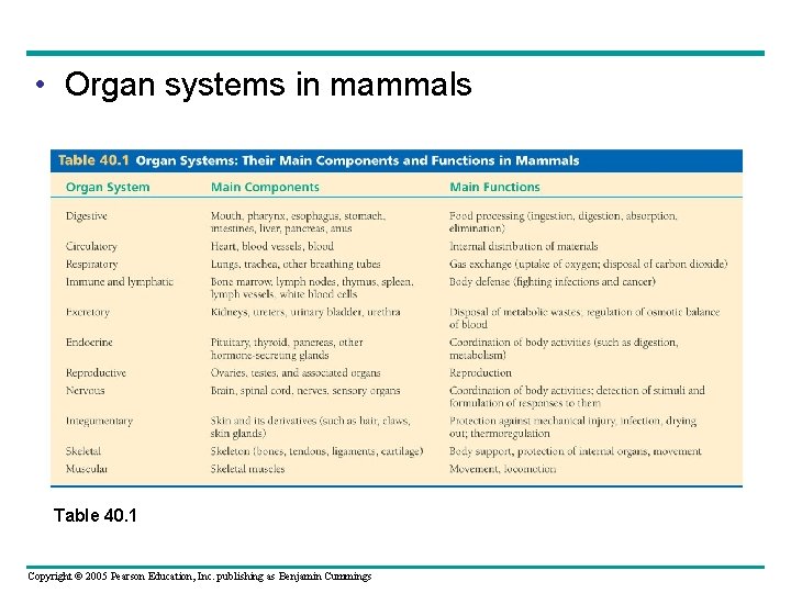  • Organ systems in mammals Table 40. 1 Copyright © 2005 Pearson Education,