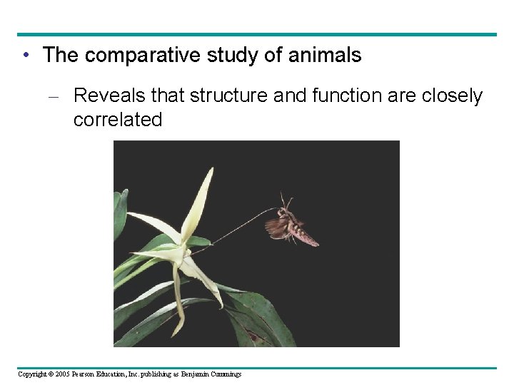  • The comparative study of animals – Reveals that structure and function are