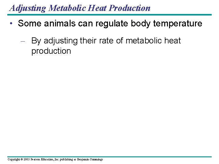 Adjusting Metabolic Heat Production • Some animals can regulate body temperature – By adjusting