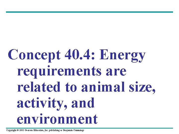 Concept 40. 4: Energy requirements are related to animal size, activity, and environment Copyright