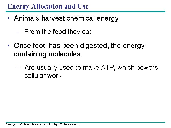 Energy Allocation and Use • Animals harvest chemical energy – From the food they