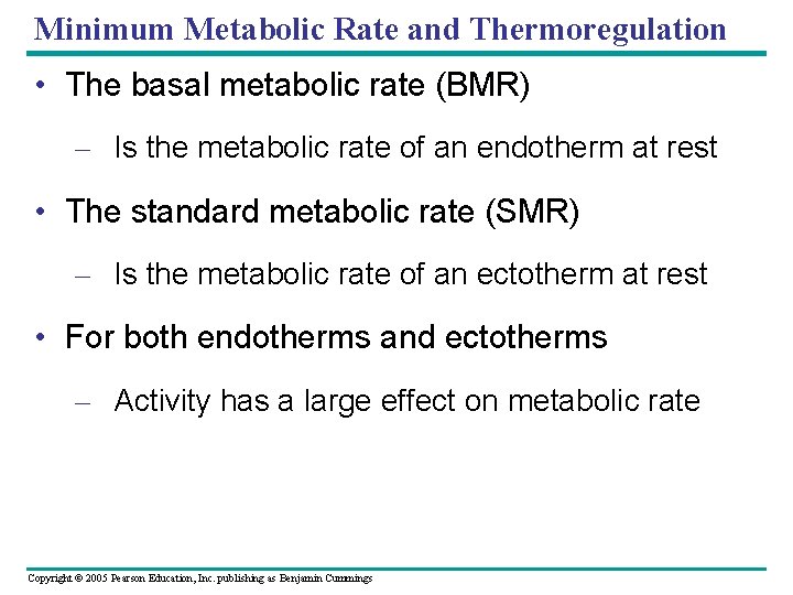 Minimum Metabolic Rate and Thermoregulation • The basal metabolic rate (BMR) – Is the