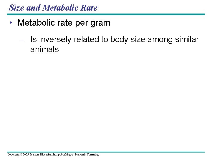 Size and Metabolic Rate • Metabolic rate per gram – Is inversely related to