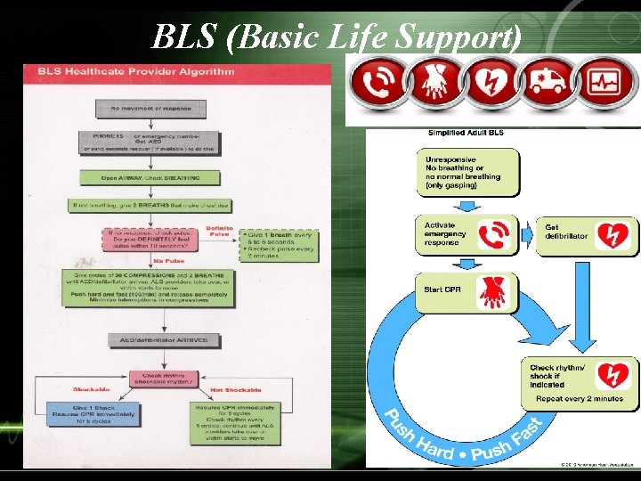 BLS (Basic Life Support) 