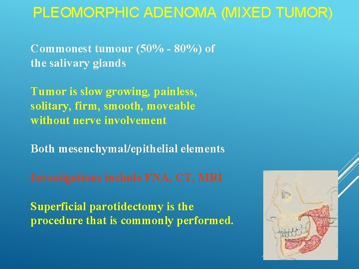 PLEOMORPHIC ADENOMA (MIXED TUMOR) Commonest tumour (50% - 80%) of the salivary glands Tumor