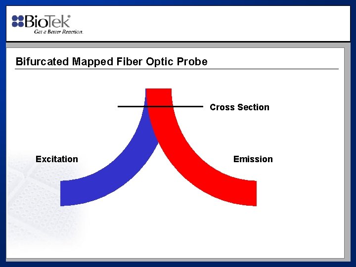 Bifurcated Mapped Fiber Optic Probe Cross Section Excitation Emission 