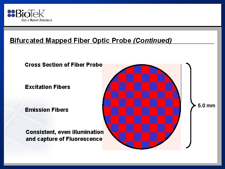 Bifurcated Mapped Fiber Optic Probe (Continued) Cross Section of Fiber Probe Excitation Fibers Emission