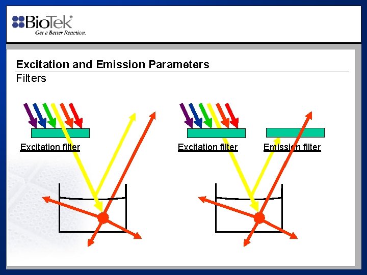 Excitation and Emission Parameters Filters Excitation filter Emission filter 
