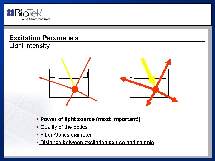 Excitation Parameters Light intensity § Power of light source (most important!) § Quality of