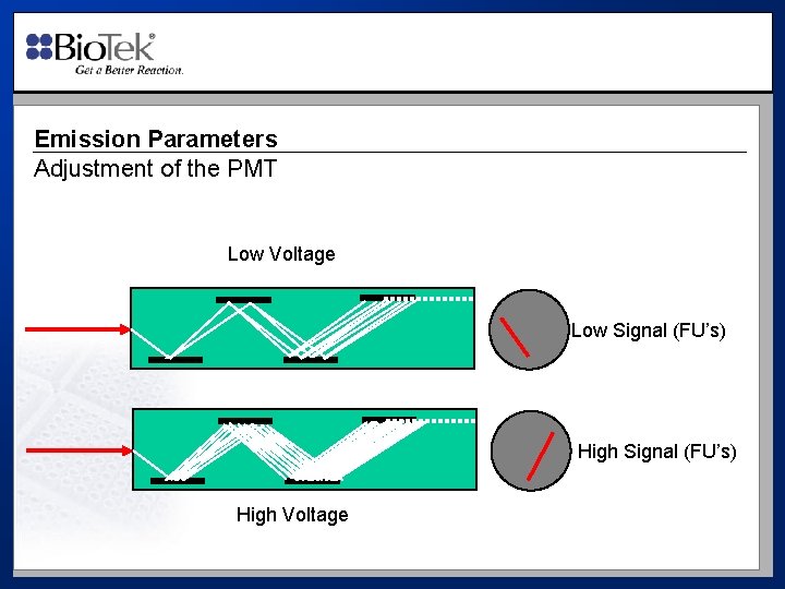 Emission Parameters Adjustment of the PMT Low Voltage Low Signal (FU’s) High Voltage 