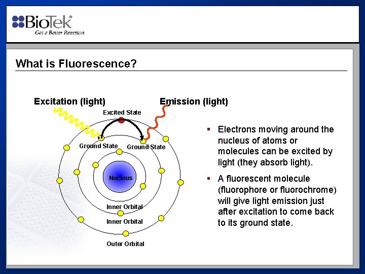 What is Fluorescence? Excitation (light) Emission (light) Excited State Ground State Nucleus Inner Orbital