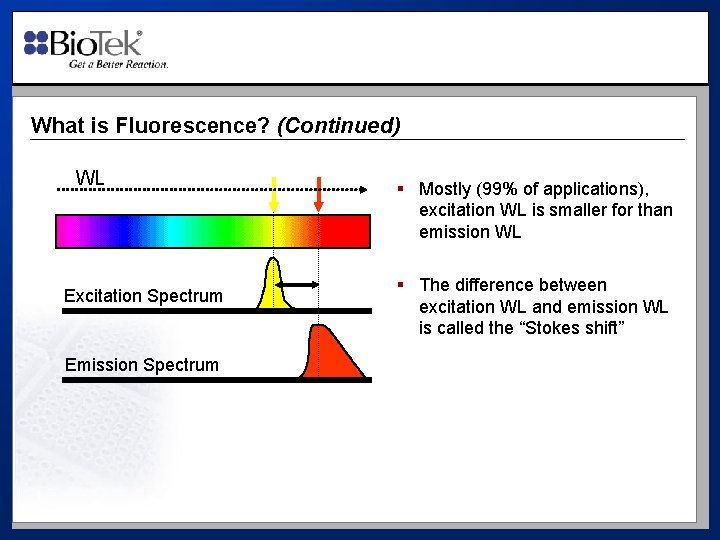 What is Fluorescence? (Continued) WL Excitation Spectrum Emission Spectrum § Mostly (99% of applications),