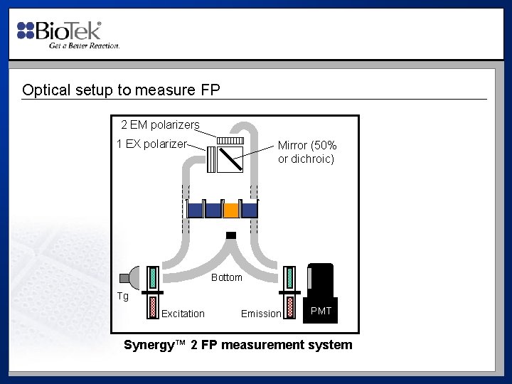 Optical setup to measure FP 2 EM polarizers 1 EX polarizer Mirror (50% or