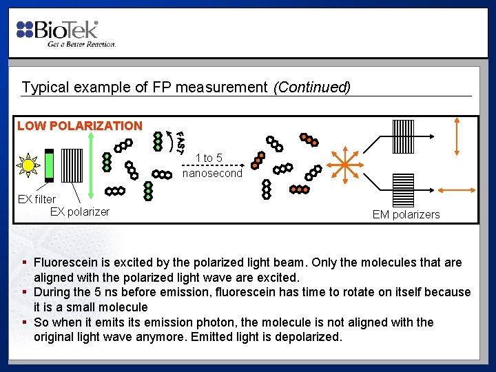 Typical example of FP measurement (Continued) LOW POLARIZATION 1 to 5 nanosecond EX filter