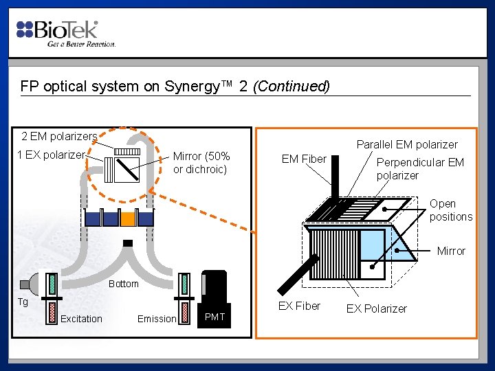 FP optical system on Synergy™ 2 (Continued) 2 EM polarizers 1 EX polarizer Mirror
